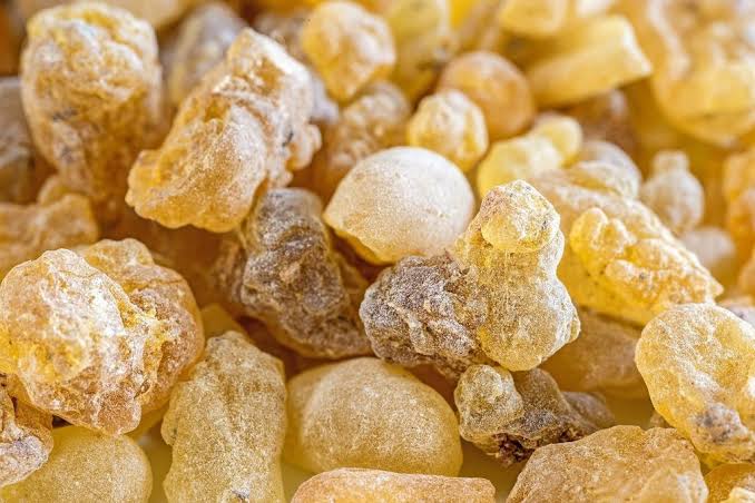 SACRED FRANKINCENSE 