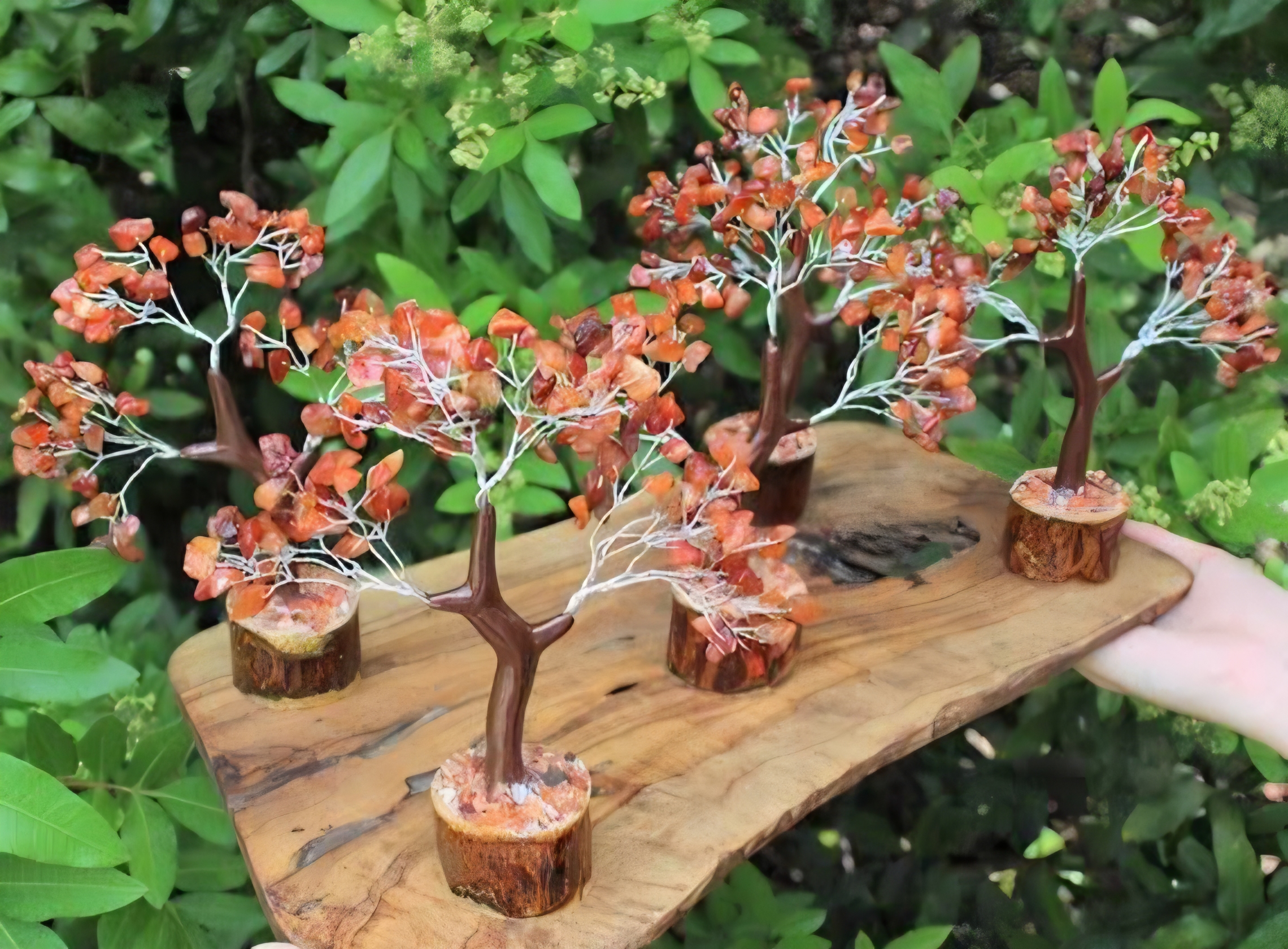 RED JASPER TREES